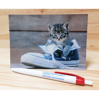 Good Seed Cards Ansichtkaart kitten