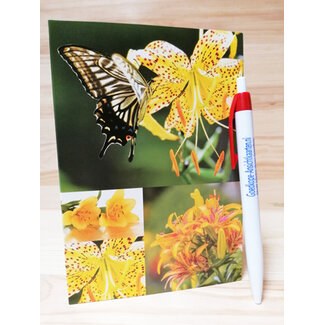 Marant Cards Lelie met vlinder