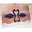 Marant Cards Zwanenmeer