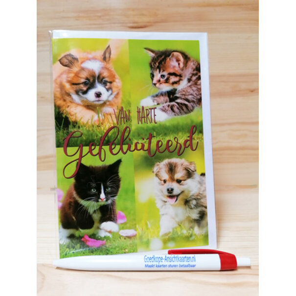 Marant Cards Verjaardagskaart hond/poes