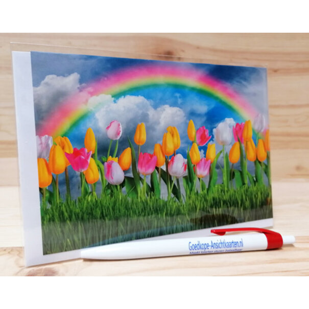 Marant Cards Tulpen met Regenboog