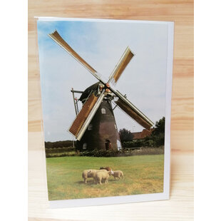 Molen met schapen