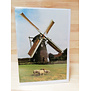 Molen met schapen