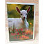 Marant Cards Vééétte Knuffel