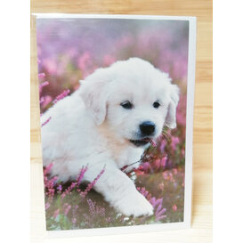Blanco kaart met Puppy