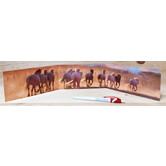 Horses at a gallop