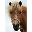 TSS-Nijkerk Ansichtkaart Paardenkop