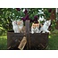 Baaij Light Cards Kittens