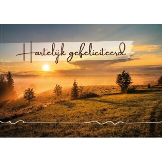 Baaij Light Cards Prentbriefkaart Hartelijk Gefeliciteerd