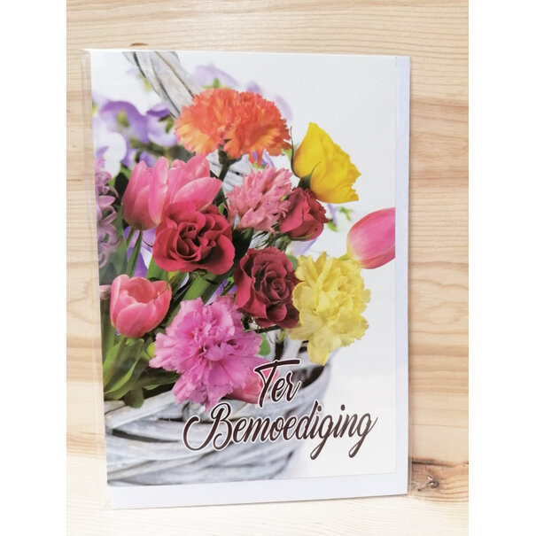 Marant Cards  - Copy - Copy - Copy - Copy - Copy - Copy - Copy - Copy - Copy - Copy