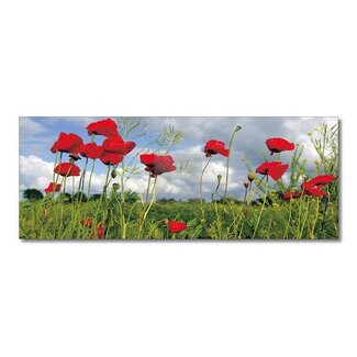 VDMS Panoramakaart Klaprozen