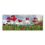 VDMS Panoramakaart Klaprozen