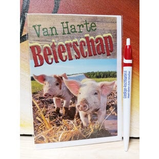 Beterschap