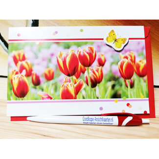 Primeurcards Tulpen met Vlinder