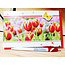 Primeurcards Tulpen met Vlinder