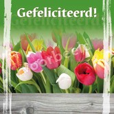 Gefeliciteerd!