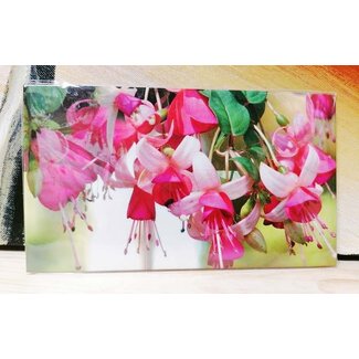 Geld-enveloppe Fuchsia