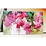 Geld-enveloppe Fuchsia