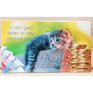 Geld-enveloppe Geld Tellen