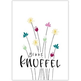 Dikke Knuffel