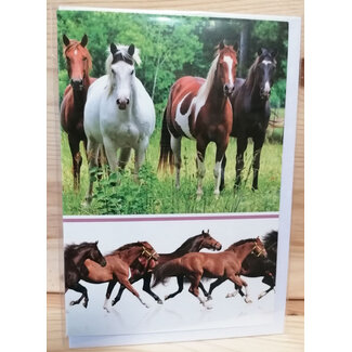 Marant Cards Paarden