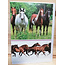 Marant Cards Paarden