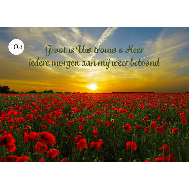 TSS-Nijkerk Groß ist deine Treue