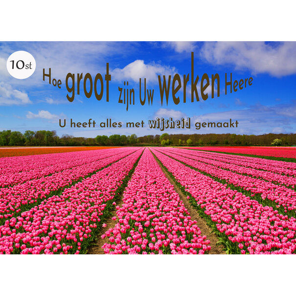 TSS-Nijkerk - Copy - Copy - Copy - Copy - Copy - Copy - Copy