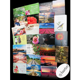Gemischtes Paket 25 Karten (Bibeltexte)