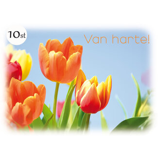 TSS-Nijkerk 10 x Van Harte