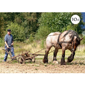 Ploughing (10 cards)