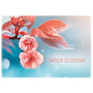 Baaij Light Cards Prentbriefkaart Hartelijk Gefeliciteerd