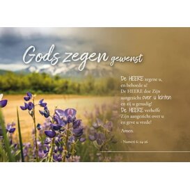 Prentbriefkaart Gods zegen gewenst