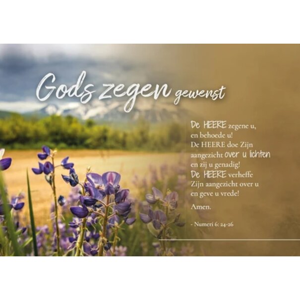 Baaij Light Cards Prentbriefkaart Gods zegen gewenst