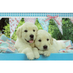 Blanco kaartje met lieve pups