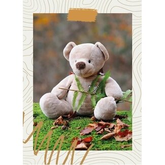 Baaij Light Cards Blanco kaartje met teddybeertje