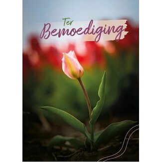 Baaij Light Cards Ter Bemoediging