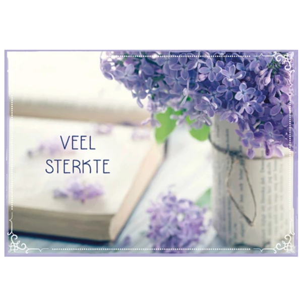Baaij Light Cards Veel Sterkte