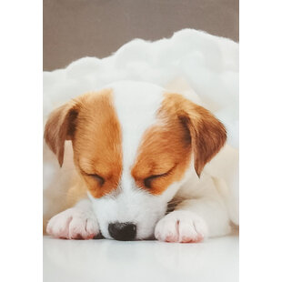 Blanco kaart met Puppy