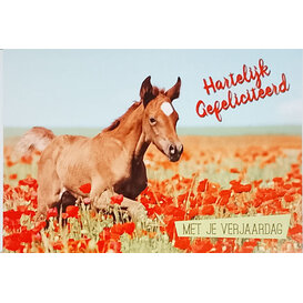 Felicitatiekaart met Paard