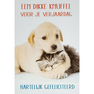 Dikke Knuffel