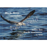 Wie de HEERE verwachten