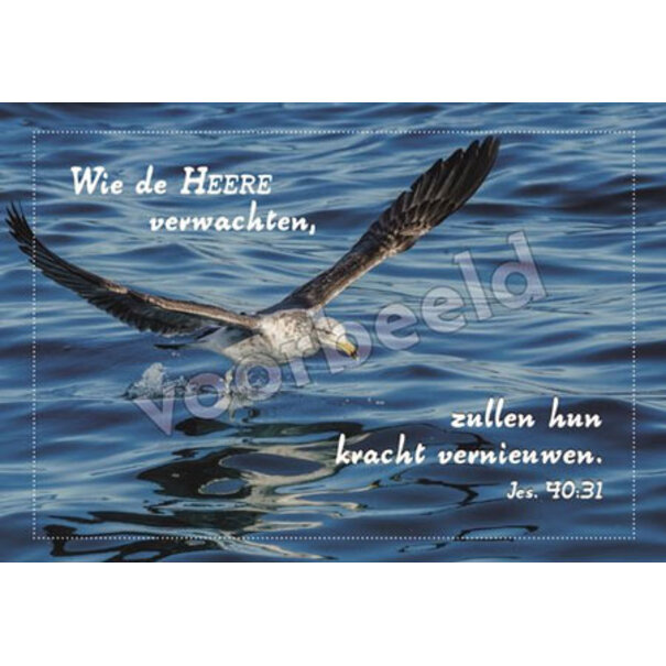 Good Seed Cards Wie de HEERE verwachten