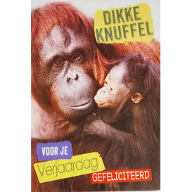 Dikke Knuffel