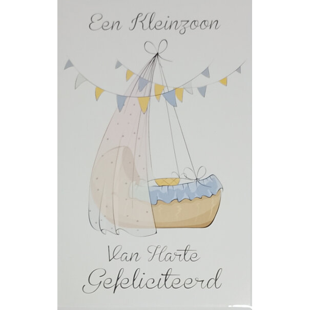 Een Kleinzoon