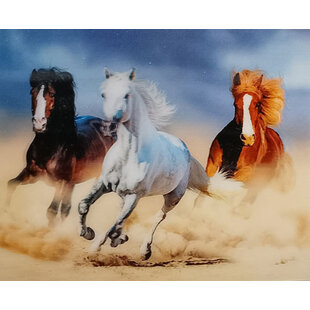 - Paarden (3D)
