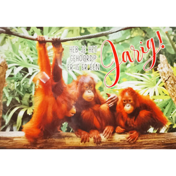 Marant Cards Er is er één jarig....