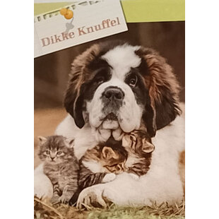 Dicke Umarmung zu deinem Geburtstag