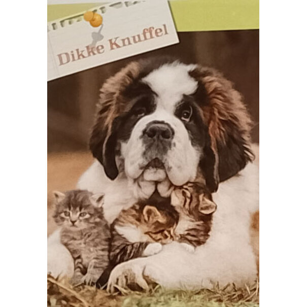 Marant Cards Dicke Umarmung zu deinem Geburtstag