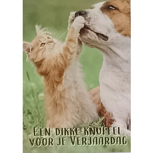 Dikke Knuffel - Verjaardag